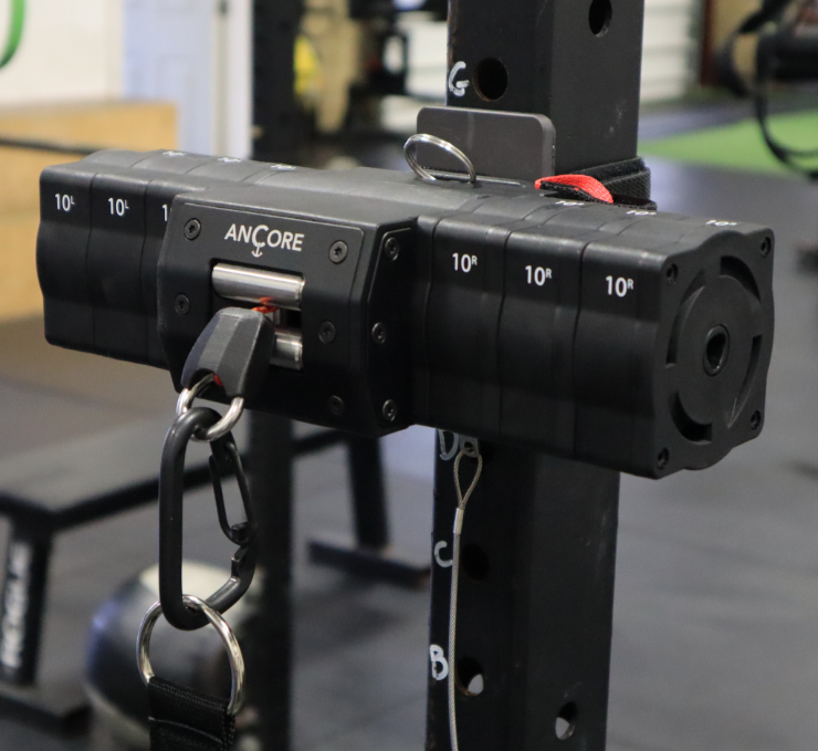 ANCORE Pro